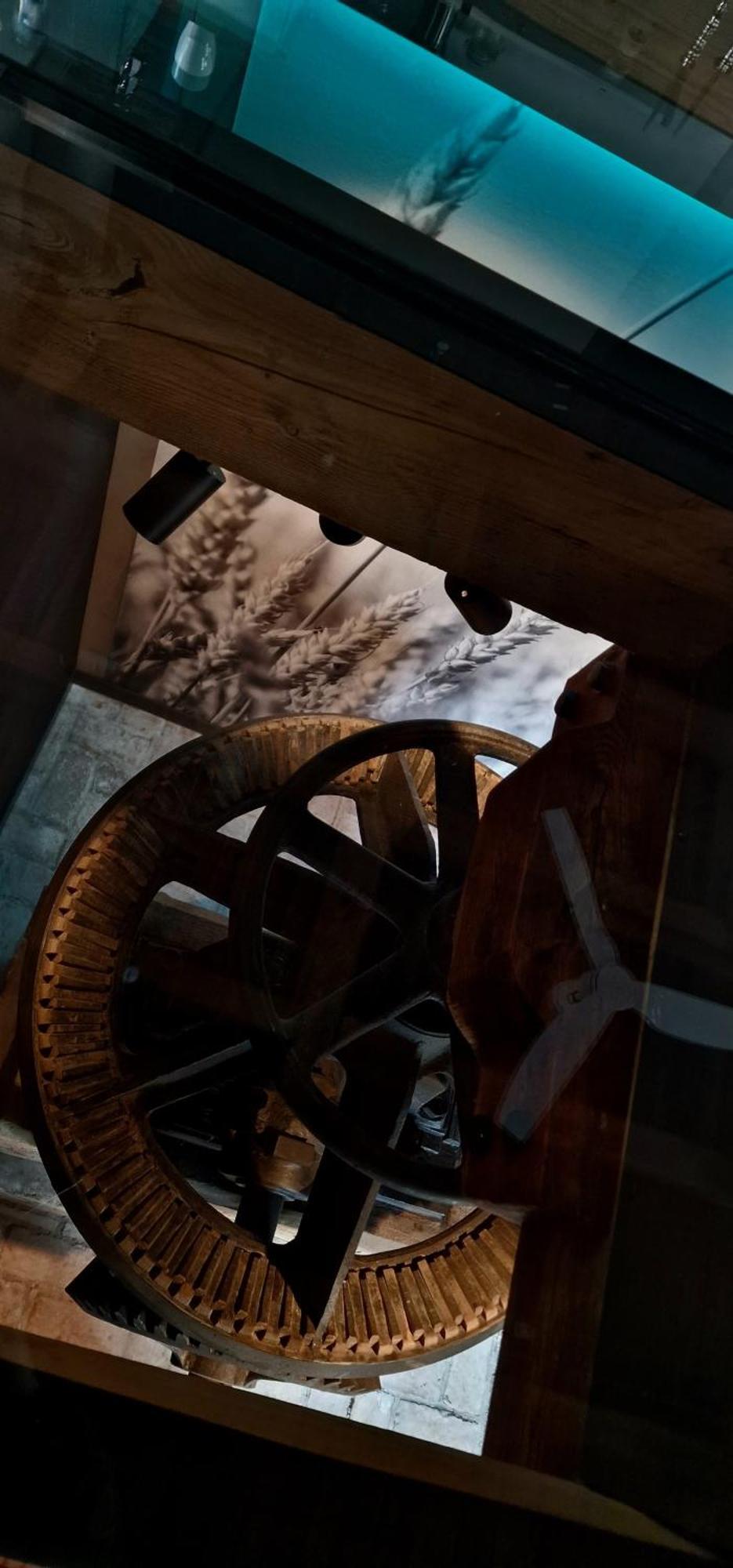 Die Mühle Appartements Samtens Extérieur photo